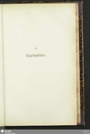 III. Tagebuchblätter
