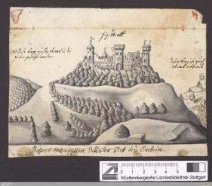 Prospect des uralten Schlosses Teck bey Kircheim : fig. 17