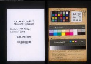 Entnazifizierung Ingeborg Erle , geb. 17.08.1910 (Handelslehrerin)