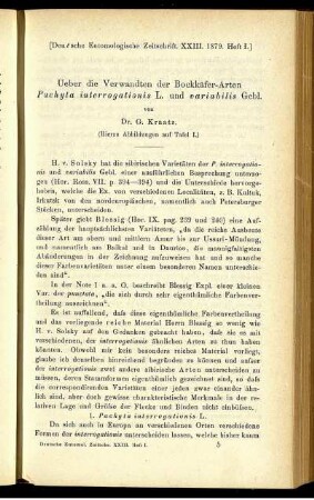 Ueber die Verwandten der Bockkäfer-Arten Pachyta interrogationis L. und variabilis Gebl.