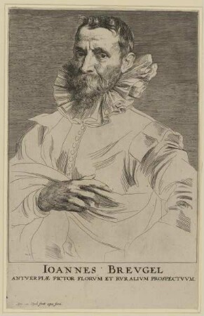 Bildnis des Joannes Brevgel