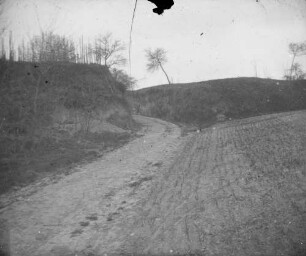 Lössterrasse mit Hohlweg