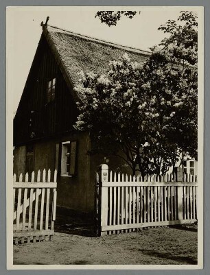Gatow. Frühling. Altes, mit Schilf gedecktes Bauerhaus. Davor ein blühender Fliederbusch