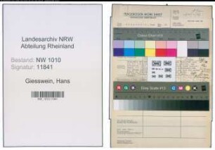 Entnazifizierung Hans Giesswein , geb. 06.02.1894 (Prokurist)