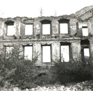 Dargun. Ehemaliges Kloster (Schloss, heute Ruine). Teilansicht der Fassade