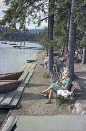 Fichtelsee: Bootssteg am Ufer beim Waldhaus