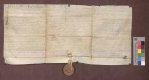 Schuldverschreibung des Gladi Schwall zu Auggen gegenüber dem Domstift zu Basel.