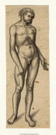 Stehender nackter Mann (Adam?, Apollo?), etwas nach rechts gewendet