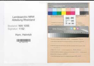 Entnazifizierung Heinrich Horn , geb. 18.01.1900 (Schlosser)
