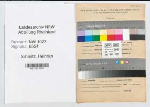 Entnazifizierung Heinrich Schmitz , geb. 13.11.1906 (Kaufmann)