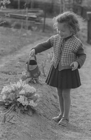 Ein kleines Mädchen gießt Blumen
