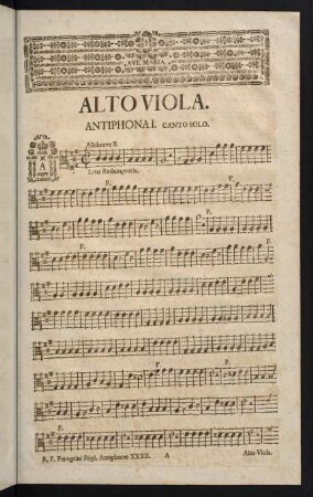 Alto Viola