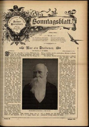 Ausgabe vom Sonntag, den 17. November 1895.