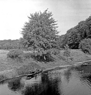 Trave: Blick von der Friedensbrücke: vorn links Frau in Ruderboot: dahinter Baum und Sträucher an Uferböschung: hinten Wald