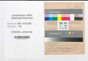 Entnazifizierung Johannes Amedick , geb. 12.06.1898 (Angestellter)