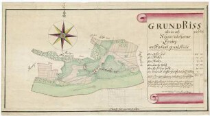 Grund-Riss über das Orth Rihnen in der Henemer Einung