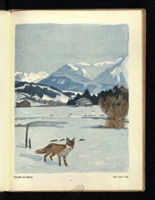 Reinecke im Schnee