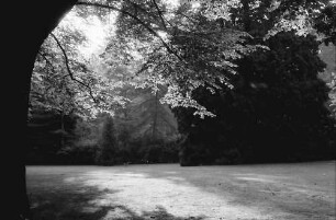 Bad Schachen: Parklandschaft im Gegenlicht