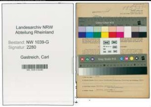 Entnazifizierung Carl Gastreich , geb. 07.09.1903 (Augenarzt)