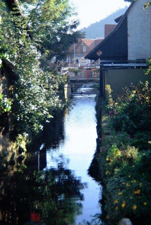 Blick auf die den Ort der Länge nach durchfließende Effelder