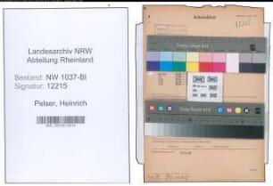 Entnazifizierung Heinrich Pelser , geb. 20.02.1910 (Zollbeamter)