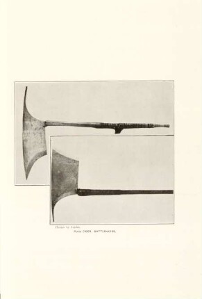 Plate CXXX. Battle-axes