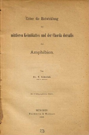 Ueber die Entwicklung des mittleren Keimblattes und der Chorda dorsalis der Amphibien : Mit 2 lithogr. Tafeln