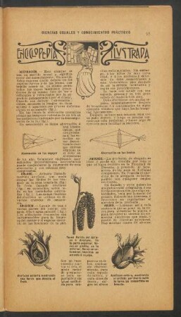 Enciclopedia ilustrada : Ciencias usuales y conocimientos practicos