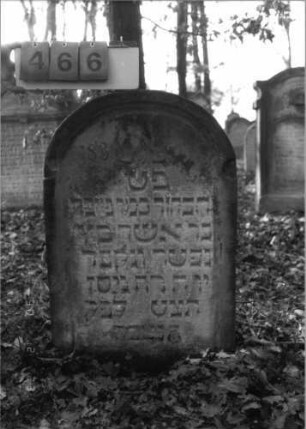 Grabstein 466 (Index: 100115549) Material: Sandstein Zustand: verwittert Maße HxBxT: 84x55x10 cm Beschreibung: Stele mit Rundbogenabschluß, eingetieftes Schriftfeld Symbolik: Cohanim-Hände: Grabstein 466
