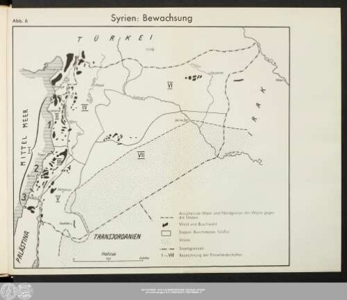 Syrien: Bewachsung