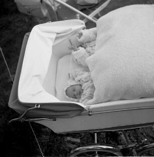 Blick in einen Kinderwagen mit Zwillingen