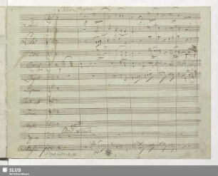 Salve Regina