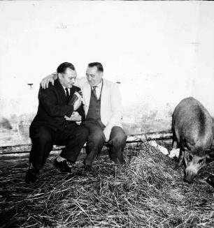 Rasthof "Hamburger Tor": Stall: Personen mit Ferkel, rechts ein Wildschwein mit weiteren Ferkeln
