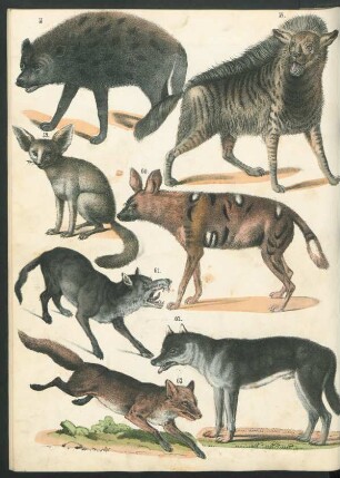 Tafel: [Fig. 57.-70.]
