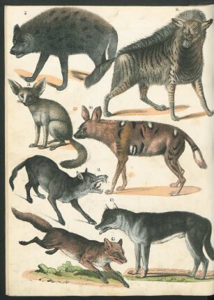 Tafel: [Fig. 57.-70.]