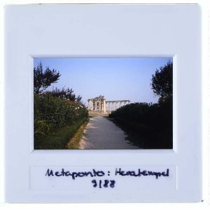 Metaponto, Tavole Palatine,Metaponto, Ruinenfeld