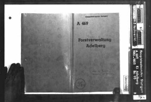 Renovation, Vermessung und Steinsetzung im Adelberger und Lorcher Forst