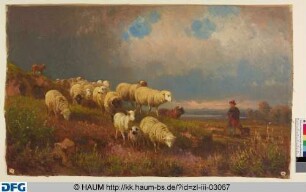Wiesenlandschaft mit Schafen