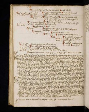 Bernardinus Senensis: Postilla in apocalipsim. Excerptum