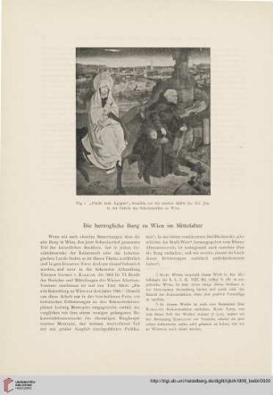 Die herzogliche Burg zu Wien im Mittelalter