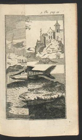 Tafel: Die Fische so aus dem Meer in die Flüsse streichen.