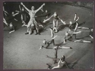 Der Feuervogel (Igor Stravinsky)