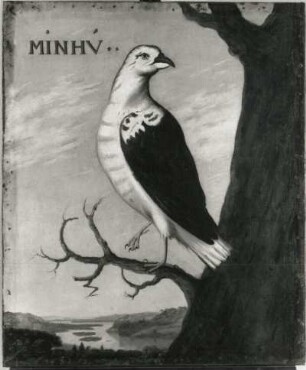 MINHV : MINHV. Öl auf Leinwand (1655/1663; A. Eckhout). Radebeul, Hoflößnitz, Berg- und Lusthaus, Festsaal (nach der Restaurierung)