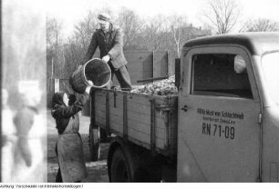 Landwirtschaft, Januar - März 1955