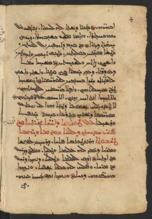 Ordo fratrum tironum