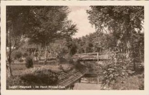 Postkarte, Soldin (Neumark)