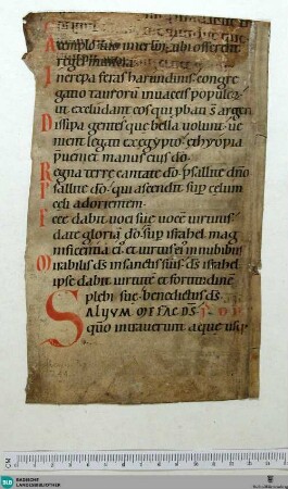 Fragment - Cod. Aug. Fr. 211