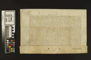 Mainz (Mariengreden): Protectorium Kaiser Friederichs für das Liebfrauenstift zu den Greden zu Mainz
