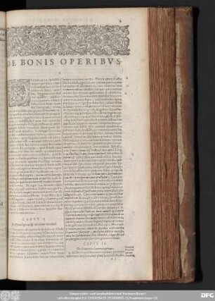 Caput II. De Synonymia bonorum operum.