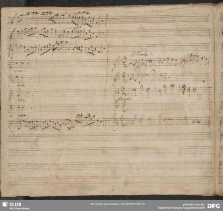 Tecum principium in die virtutis tuae